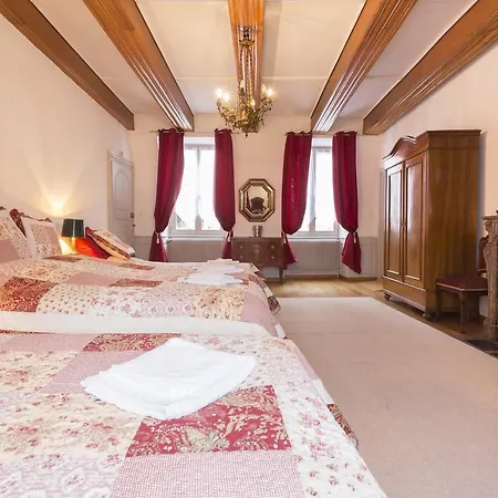 Traditional Loft & Studio Κολμάρ