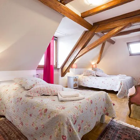 Διαμέρισμα Traditional Loft & Studio Κολμάρ
