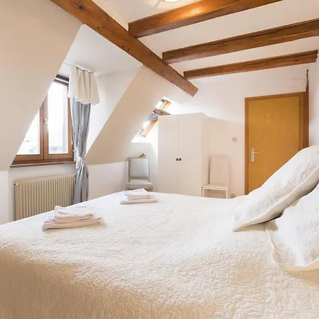 Traditional Loft & Studio Κολμάρ